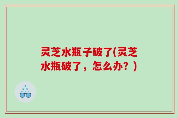 灵芝水瓶子破了(灵芝水瓶破了，怎么办？)