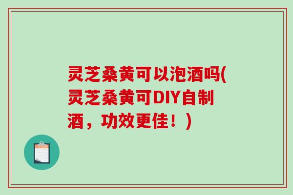 灵芝桑黄可以泡酒吗(灵芝桑黄可DIY自制酒，功效更佳！)