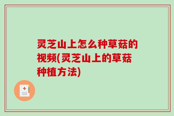 灵芝山上怎么种草菇的视频(灵芝山上的草菇种植方法)