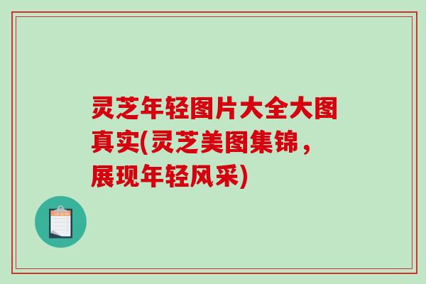 灵芝年轻图片大全大图真实(灵芝美图集锦,展现年轻风采) 灵芝年轻图片大全大图真实(灵芝美图集锦,展现年轻风采)