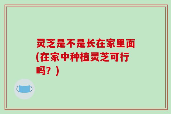 灵芝是不是长在家里面(在家中种植灵芝可行吗？)