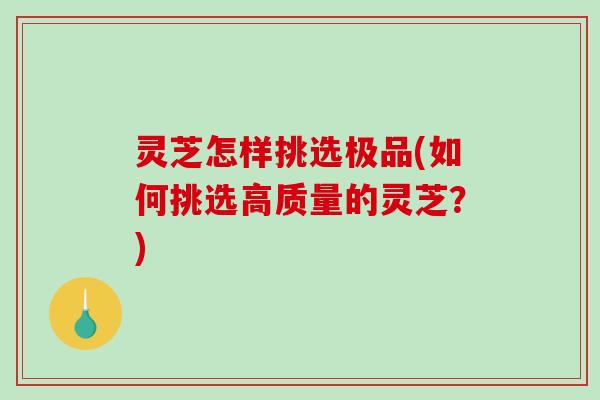 灵芝怎样挑选极品(如何挑选高质量的灵芝？)