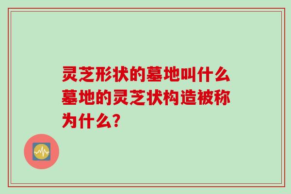 灵芝形状的墓地叫什么墓地的灵芝状构造被称为什么？