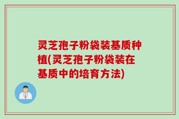 灵芝孢子粉袋装基质种植(灵芝孢子粉袋装在基质中的培育方法)