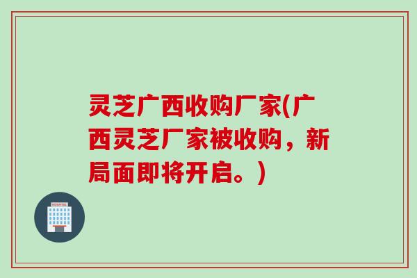 灵芝广西收购厂家(广西灵芝厂家被收购，新局面即将开启。)