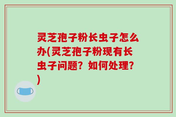 灵芝孢子粉长虫子怎么办(灵芝孢子粉现有长虫子问题？如何处理？)