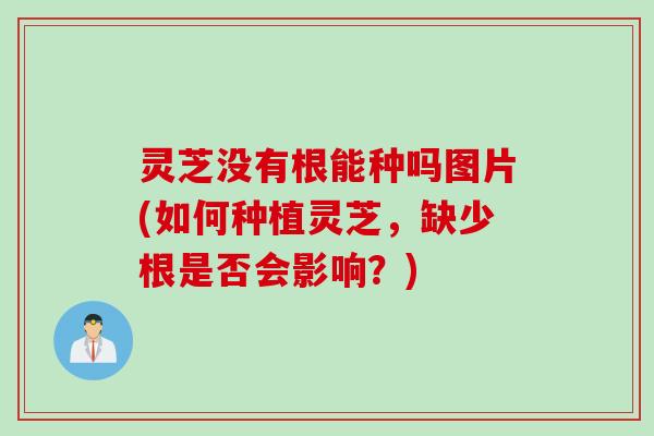 灵芝没有根能种吗图片(如何种植灵芝，缺少根是否会影响？)