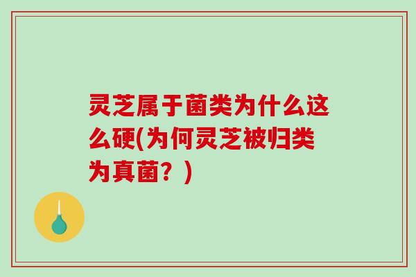 灵芝属于菌类为什么这么硬(为何灵芝被归类为真菌？)