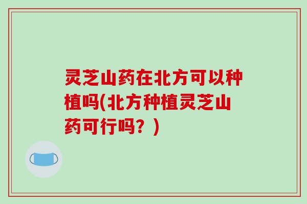 灵芝山药在北方可以种植吗(北方种植灵芝山药可行吗？)