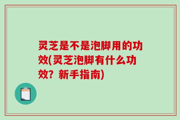 灵芝是不是泡脚用的功效(灵芝泡脚有什么功效？新手指南)