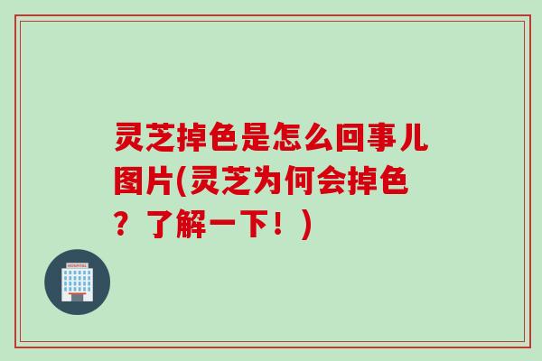 灵芝掉色是怎么回事儿图片(灵芝为何会掉色?了解一下!) 灵芝掉色是怎么回事儿图片(灵芝为何会掉色?了解一下!)