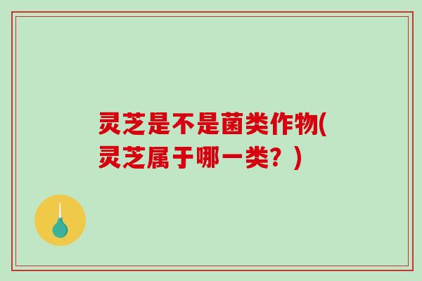 灵芝是不是菌类作物(灵芝属于哪一类？)
