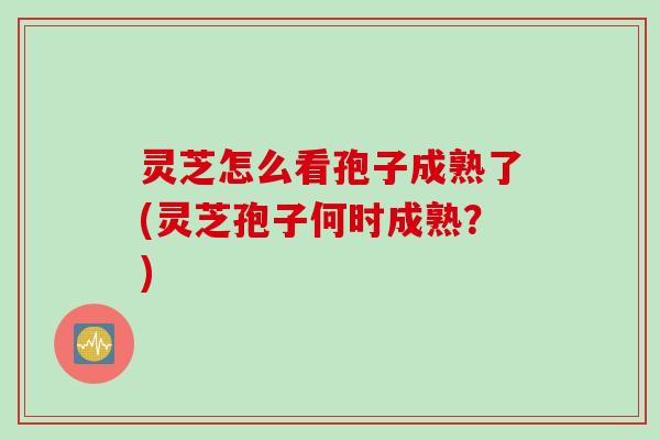 灵芝怎么看孢子成熟了(灵芝孢子何时成熟？)