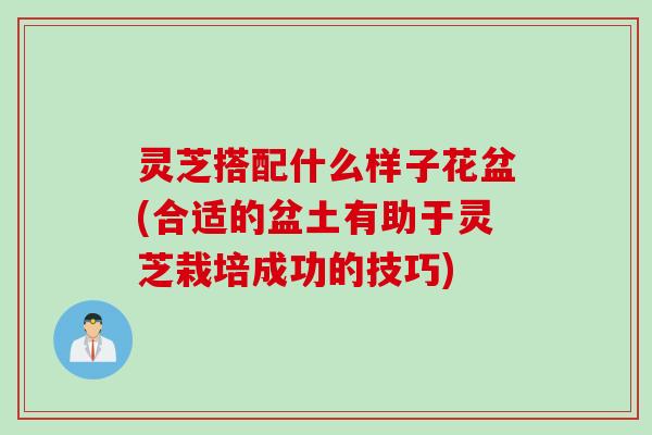 灵芝搭配什么样子花盆(合适的盆土有助于灵芝栽培成功的技巧)