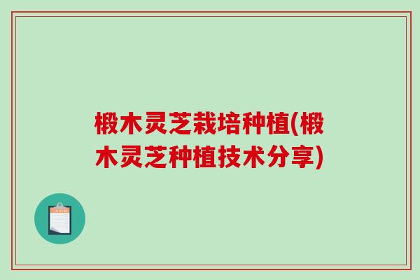 椴木灵芝栽培种植(椴木灵芝种植技术分享)