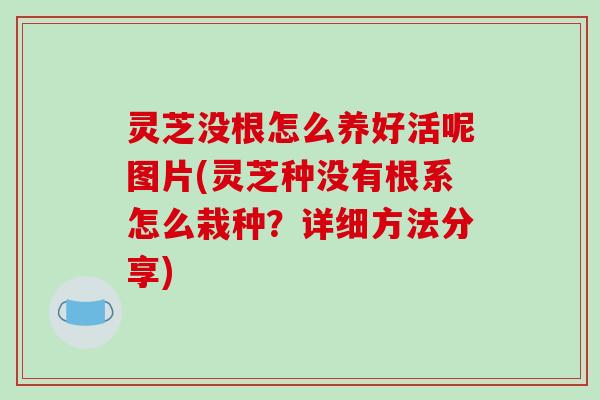 灵芝没根怎么养好活呢图片(灵芝种没有根系怎么栽种？详细方法分享)