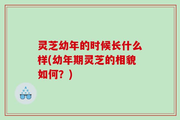 灵芝幼年的时候长什么样(幼年期灵芝的相貌如何？)
