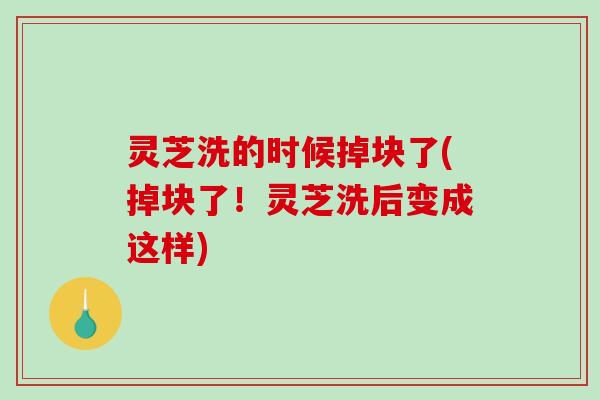 灵芝洗的时候掉块了(掉块了!灵芝洗后变成这样) 灵芝洗的时候掉块了(掉块了!灵芝洗后变成这样)
