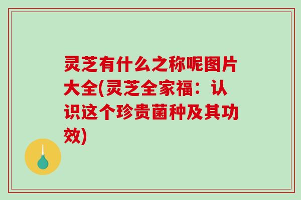 灵芝有什么之称呢图片大全(灵芝全家福：认识这个珍贵菌种及其功效)