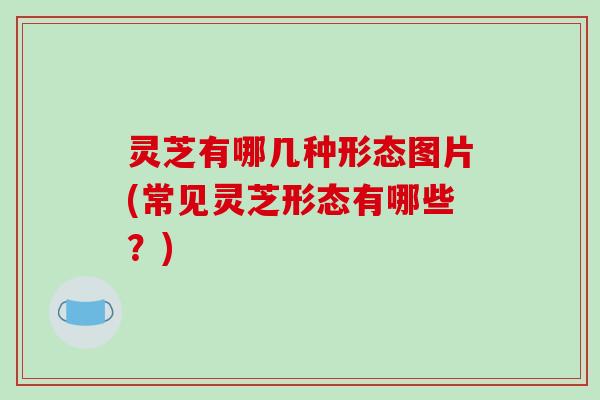 灵芝有哪几种形态图片(常见灵芝形态有哪些？)