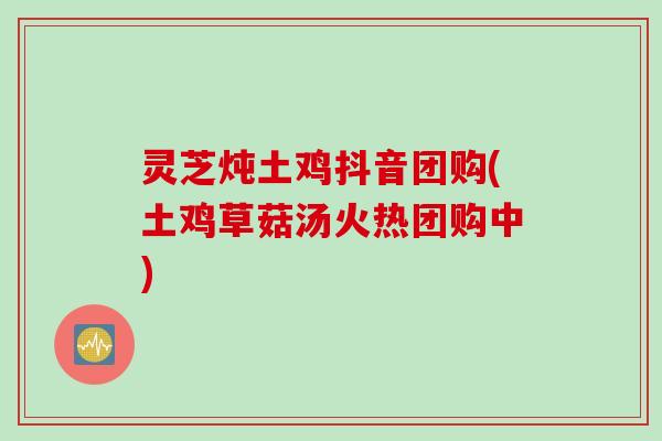 灵芝炖土鸡抖音团购(土鸡草菇汤火热团购中)