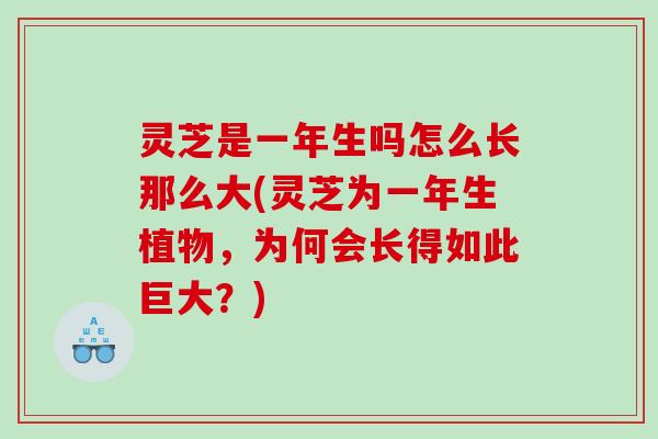 灵芝是一年生吗怎么长那么大(灵芝为一年生植物，为何会长得如此巨大？)