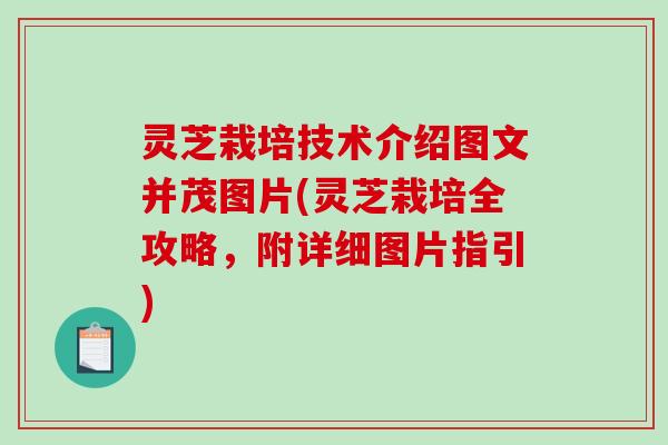 灵芝栽培技术介绍图文并茂图片(灵芝栽培全攻略，附详细图片指引)