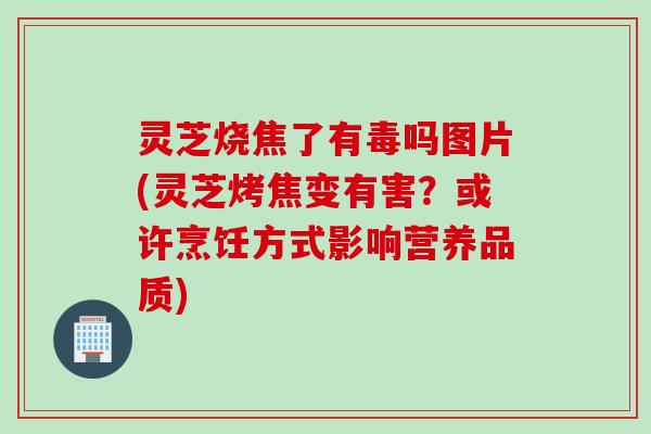 灵芝烧焦了有毒吗图片(灵芝烤焦变有害？或许烹饪方式影响营养品质)