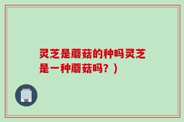 灵芝是蘑菇的种吗灵芝是一种蘑菇吗？)