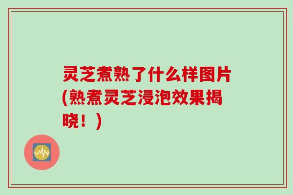 灵芝煮熟了什么样图片(熟煮灵芝浸泡效果揭晓！)