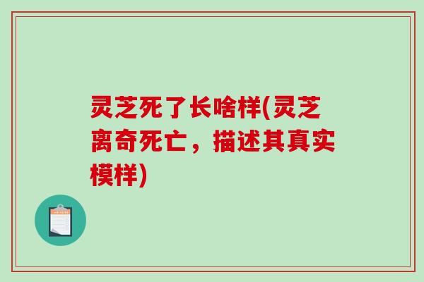 灵芝死了长啥样(灵芝离奇死亡，描述其真实模样)