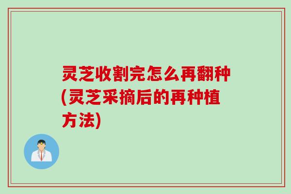 灵芝收割完怎么再翻种(灵芝采摘后的再种植方法)