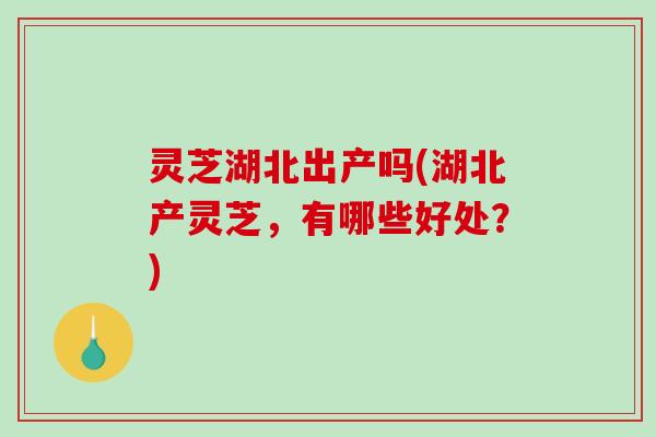 灵芝湖北出产吗(湖北产灵芝，有哪些好处？)