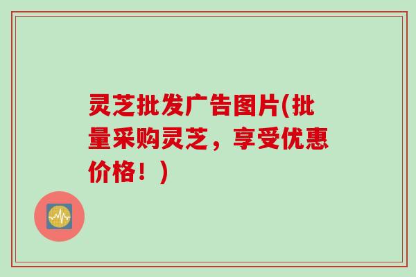 灵芝批发广告图片(批量采购灵芝，享受优惠价格！)