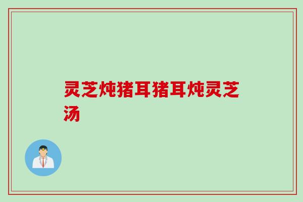 灵芝炖猪耳猪耳炖灵芝汤