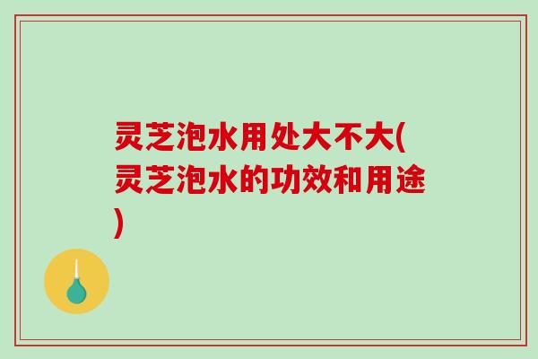 灵芝泡水用处大不大(灵芝泡水的功效和用途)