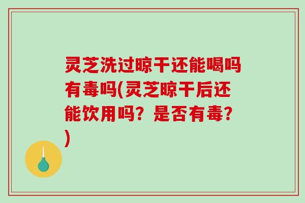 灵芝洗过晾干还能喝吗有毒吗(灵芝晾干后还能饮用吗?是否有毒?) 灵芝洗过晾干还能喝吗有毒吗(灵芝晾干后还能饮用吗?是否有毒?)