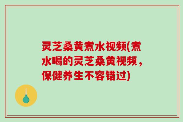 灵芝桑黄煮水视频(煮水喝的灵芝桑黄视频，保健养生不容错过)