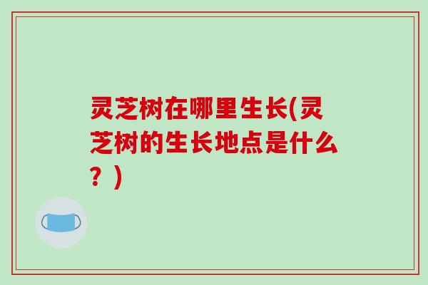 灵芝树在哪里生长(灵芝树的生长地点是什么？)