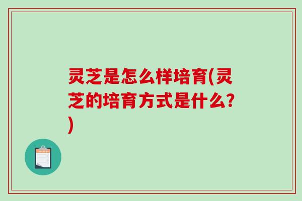 灵芝是怎么样培育(灵芝的培育方式是什么？)