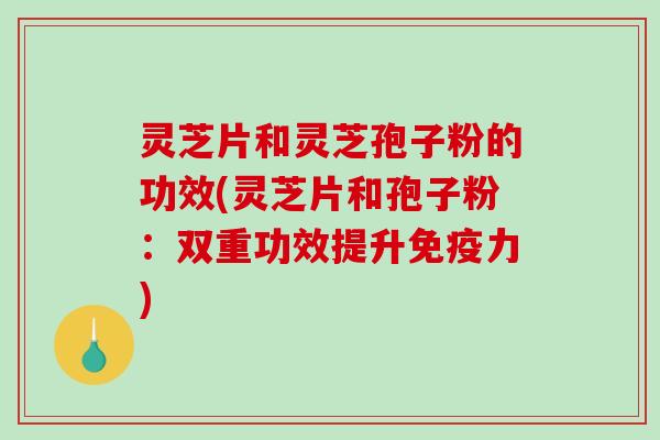 灵芝片和灵芝孢子粉的功效(灵芝片和孢子粉：双重功效提升免疫力)