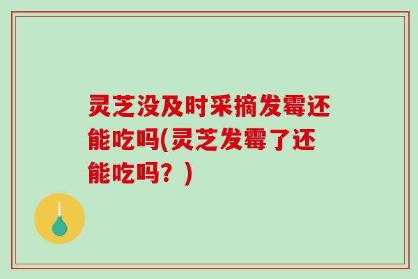 灵芝没及时采摘发霉还能吃吗(灵芝发霉了还能吃吗?) 灵芝没及时采摘发霉还能吃吗(灵芝发霉了还能吃吗?)