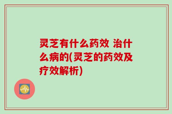 灵芝有什么药效 治什么病的(灵芝的药效及疗效解析)