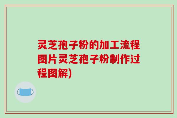 灵芝孢子粉的加工流程图片灵芝孢子粉制作过程图解)