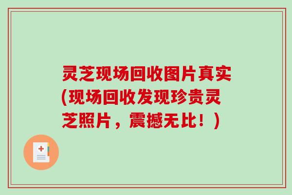 灵芝现场回收图片真实(现场回收发现珍贵灵芝照片，震撼无比！)