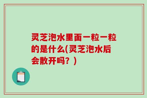 灵芝泡水里面一粒一粒的是什么(灵芝泡水后会散开吗？)