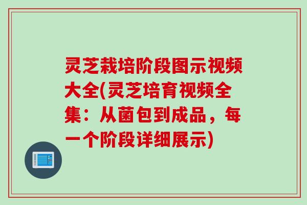 灵芝栽培阶段图示视频大全(灵芝培育视频全集：从菌包到成品，每一个阶段详细展示)