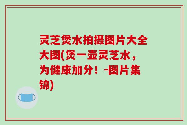 灵芝煲水拍摄图片大全大图(煲一壶灵芝水，为健康加分！-图片集锦)