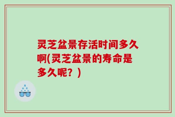 灵芝盆景存活时间多久啊(灵芝盆景的寿命是多久呢？)