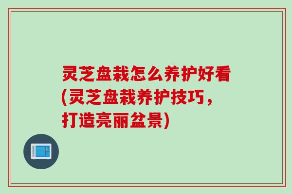 灵芝盘栽怎么养护好看(灵芝盘栽养护技巧，打造亮丽盆景)